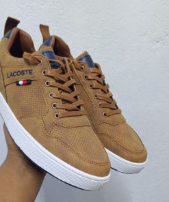 Timberland or Lacoste Casuals